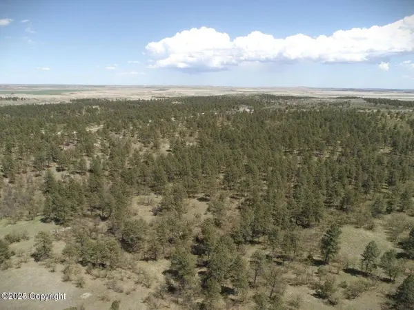 Tract 16 Axe Handle Trail, Hulett, WY 82720