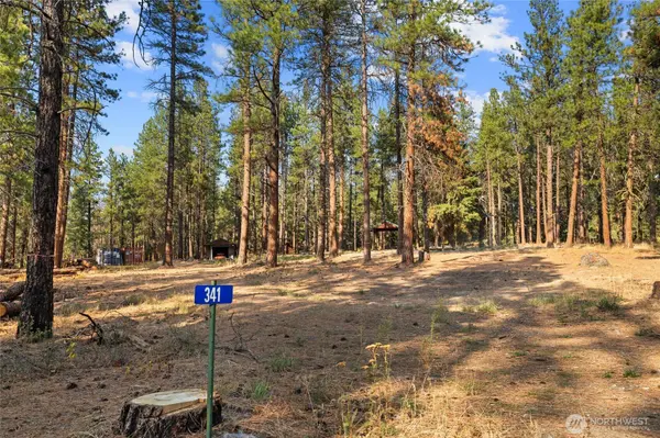 341 Teanaway Ridge WAY, Cle Elum, WA 98922