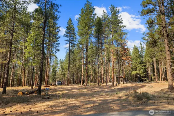 341 Teanaway Ridge WAY, Cle Elum, WA 98922