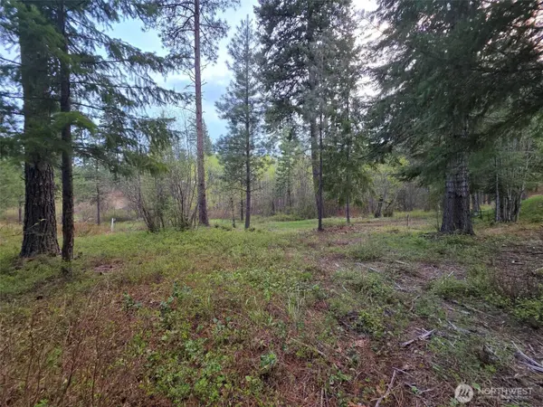 15 Lot Old Grove TRL, Cle Elum, WA 98922
