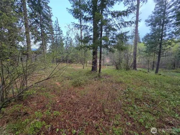 15 Lot Old Grove TRL, Cle Elum, WA 98922