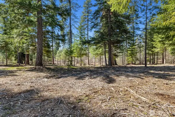15 Lot Old Grove TRL, Cle Elum, WA 98922