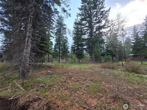 15 Lot Old Grove TRL, Cle Elum, WA 98922
