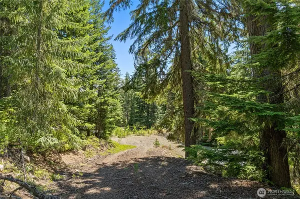 0 FSR 4832, Easton, WA 98925