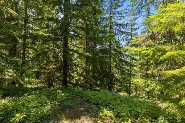0 FSR 4832, Easton, WA 98925