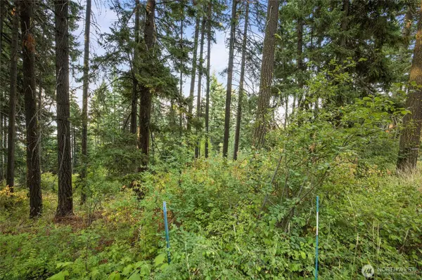 76 Lot Horse Haven RD, Cle Elum, WA 98922