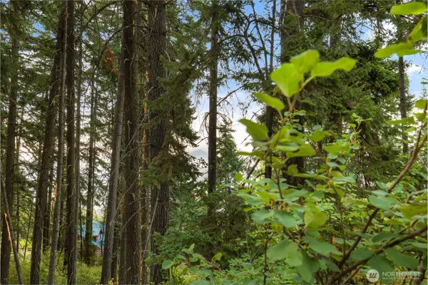 76 Lot Horse Haven RD, Cle Elum, WA 98922
