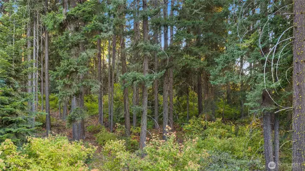 76 Lot Horse Haven RD, Cle Elum, WA 98922