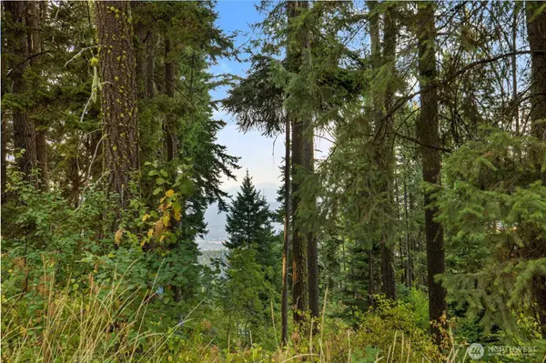 76 Lot Horse Haven RD, Cle Elum, WA 98922