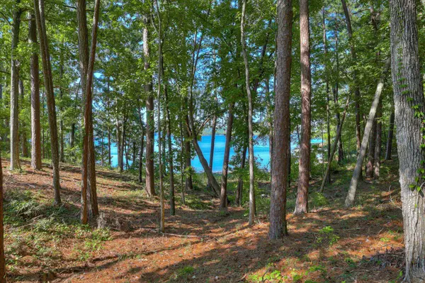 202 Deer Run Lane, Mccormick, SC 29835