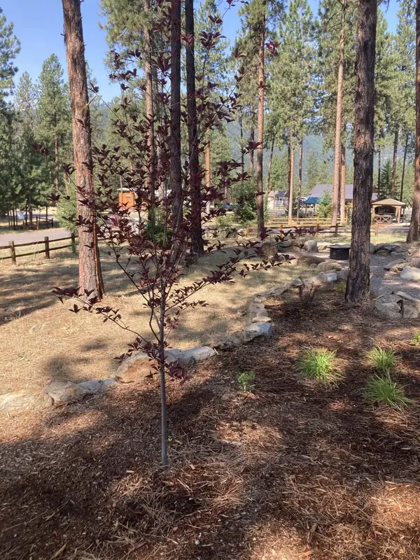 219 Shyrock Loop Drive, Superior, MT 59872