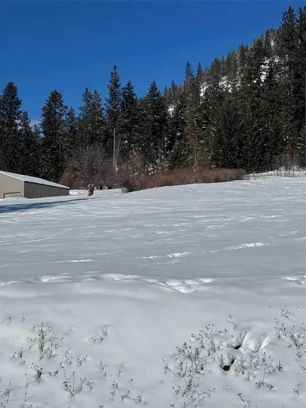 nhn Mountain DR, Alberton, MT 59820