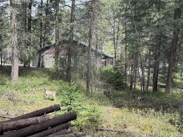 117 Cougar Meadow DR, St Regis, MT 59866