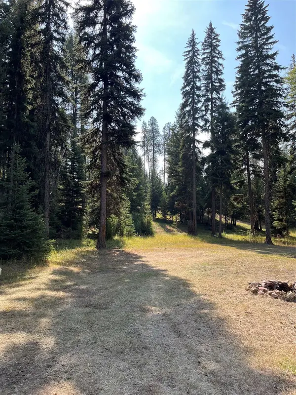 1019 Double Arrow RD, Seeley Lake, MT 59868