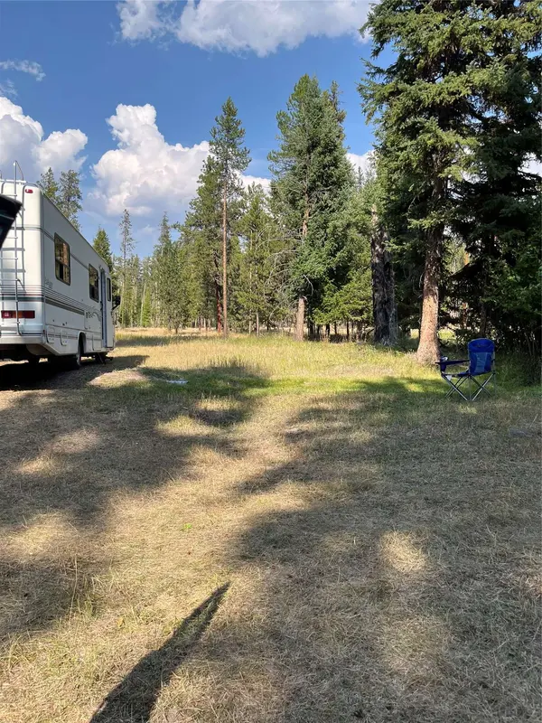 1019 Double Arrow RD, Seeley Lake, MT 59868