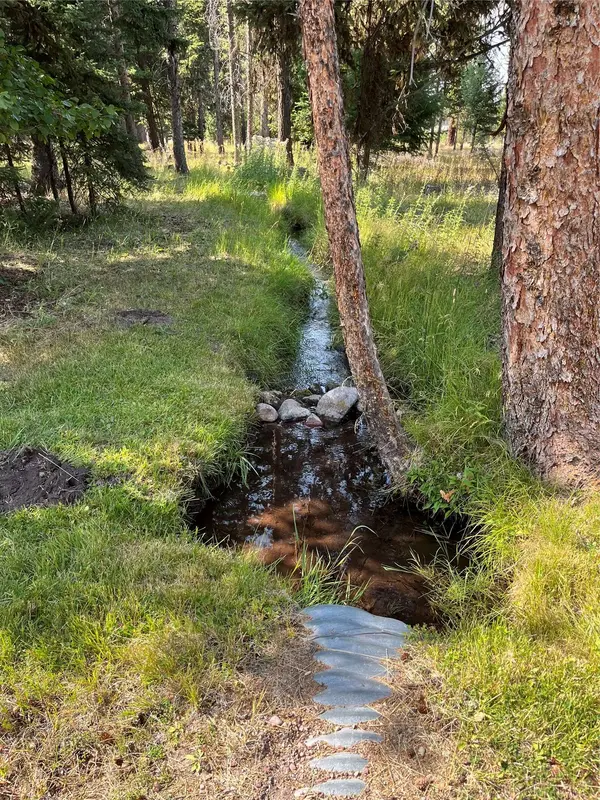 1019 Double Arrow RD, Seeley Lake, MT 59868