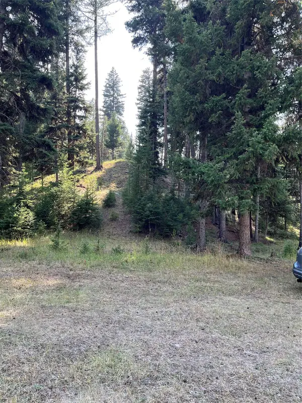 1019 Double Arrow RD, Seeley Lake, MT 59868