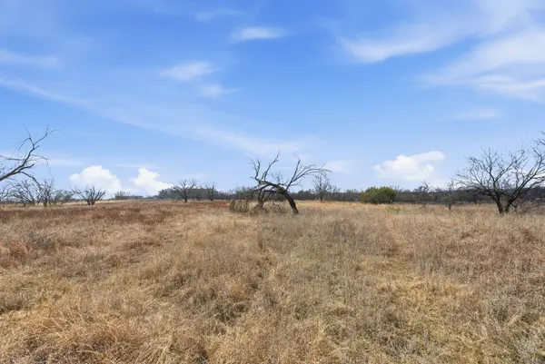 8005 Contrary Creek RD, Granbury, TX 76048