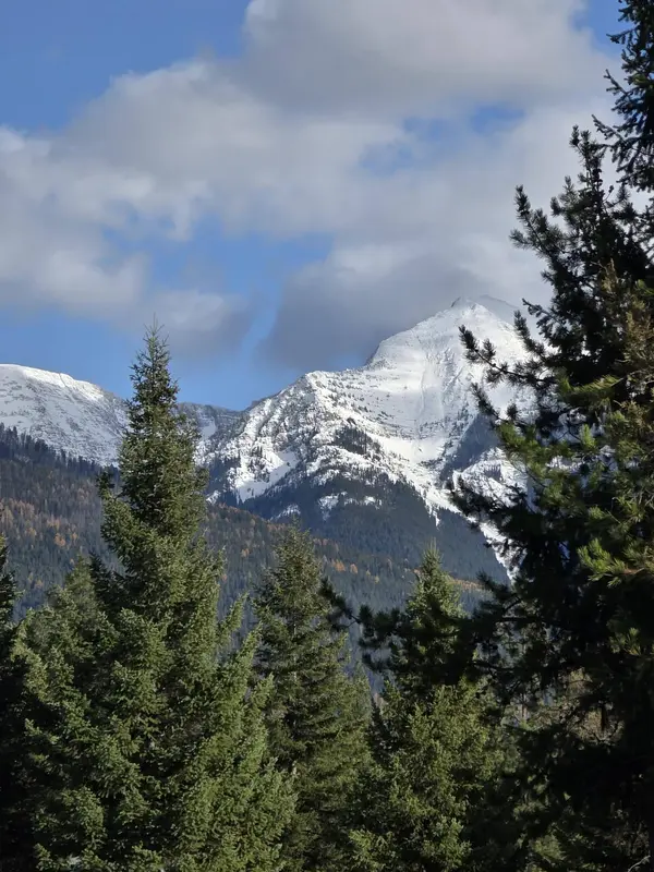 NHN NHN Hollopeter RD, Condon, MT 59826