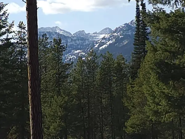 NHN NHN Hollopeter RD, Condon, MT 59826