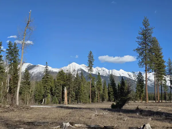 NHN NHN Hollopeter RD, Condon, MT 59826