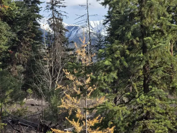 NHN NHN Hollopeter RD, Condon, MT 59826