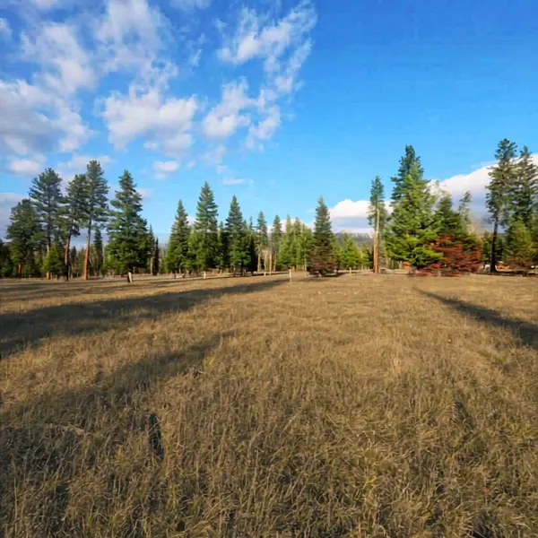 NHN NHN Hollopeter RD, Condon, MT 59826