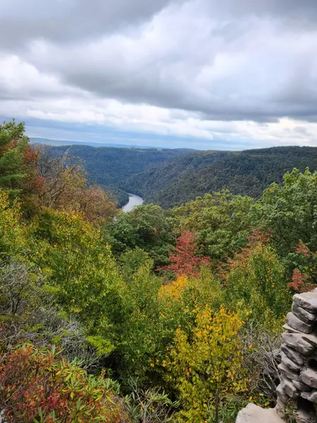 Bruceton Mills