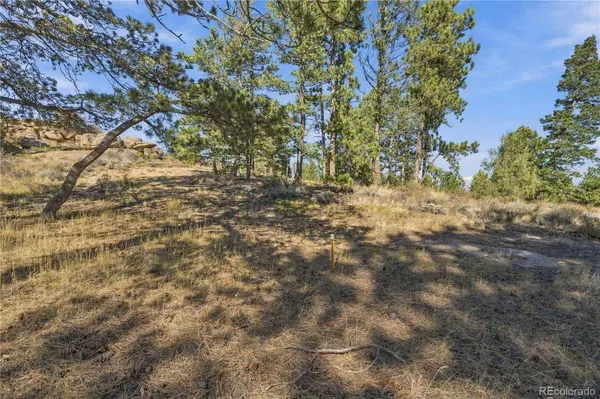 540 Fox Acres DR, Red Feather Lakes, CO 80545