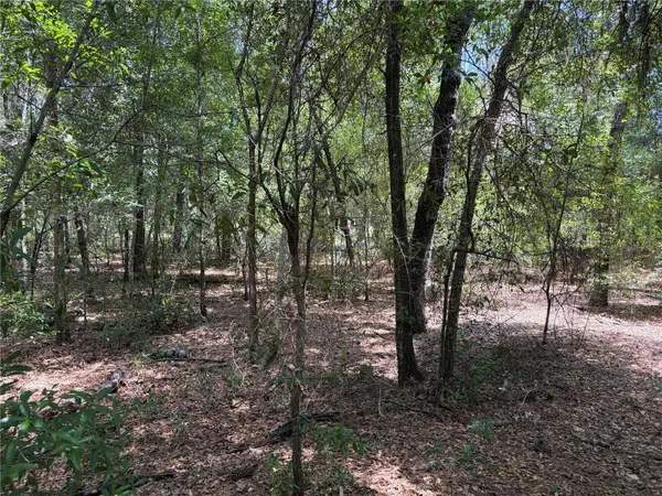 0 PINE TER, Ocala, FL 34472