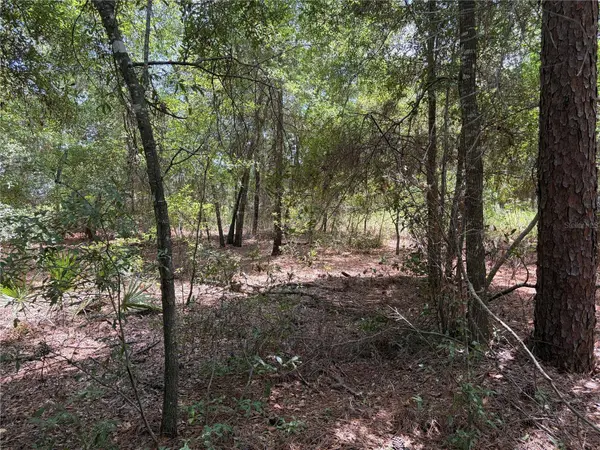 0 PINE TER, Ocala, FL 34472