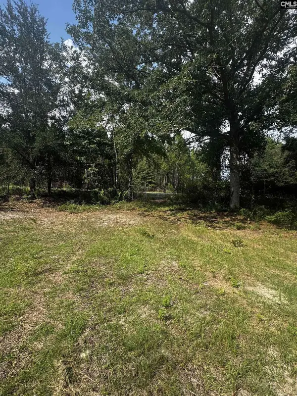 116 Rob Teal Road, Patrick, SC 29584
