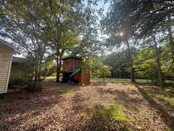 2332 Antioch Road, Bishopville, SC 29010