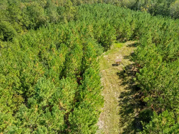 000 Beat 4 Shubuta Rd., Shubuta, MS 39360