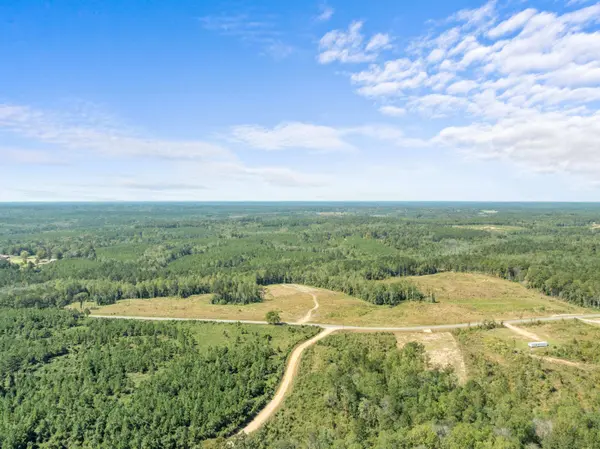 Parcel B Beat 4 Shubuta, Waynesboro, MS 39360