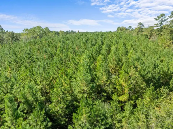 Parcel C Beat 4 Shubuta, Waynesboro, MS 39360