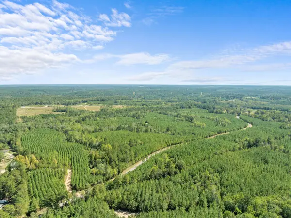 Parcel B Beat 4 Shubuta, Waynesboro, MS 39360