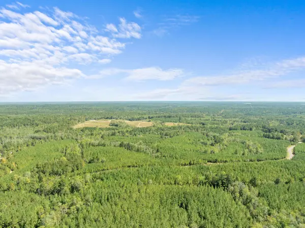 Parcel C Beat 4 Shubuta, Waynesboro, MS 39360