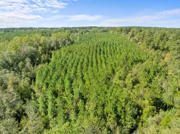 Parcel C Beat 4 Shubuta, Waynesboro, MS 39360