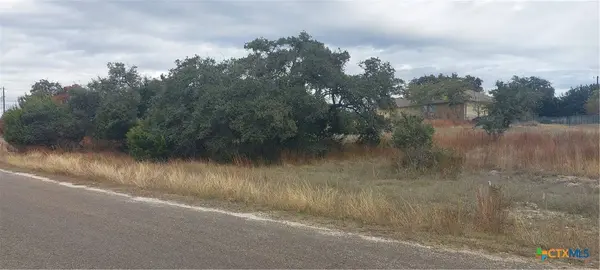 106 Jacob Dearing, Blanco, TX 78606