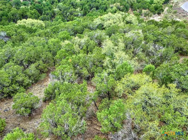 379 Cloudveil, New Braunfels, TX 78132