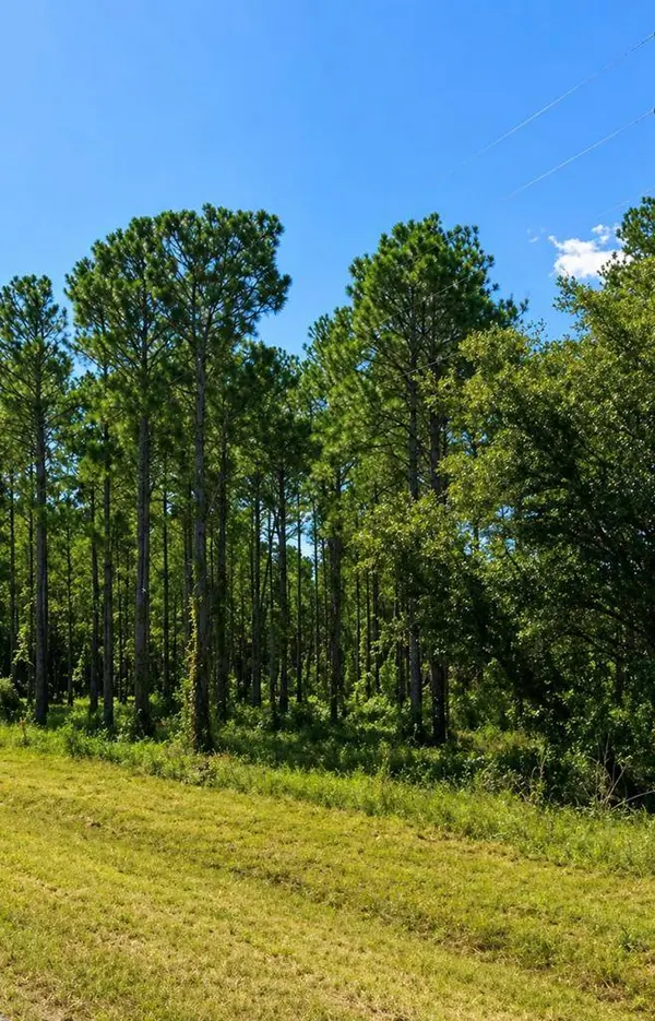 0 S State Hwy 109, Dothan, AL 36301