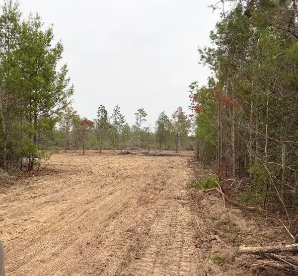 Lot 5 Nw Cr 167, Fountain, FL 32438