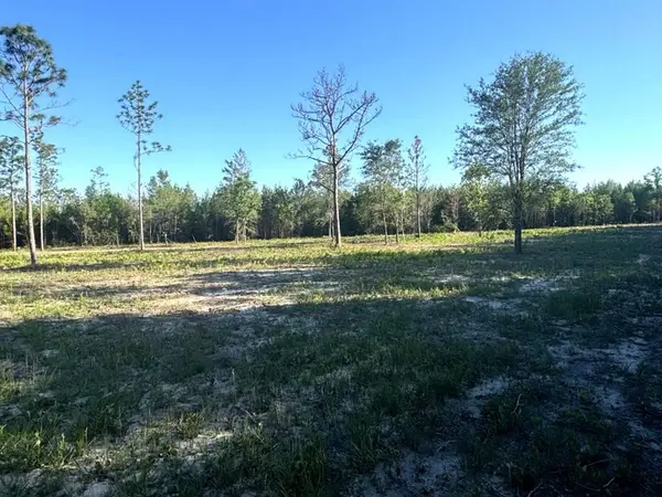 Lot 5 Nw Cr 167, Fountain, FL 32438