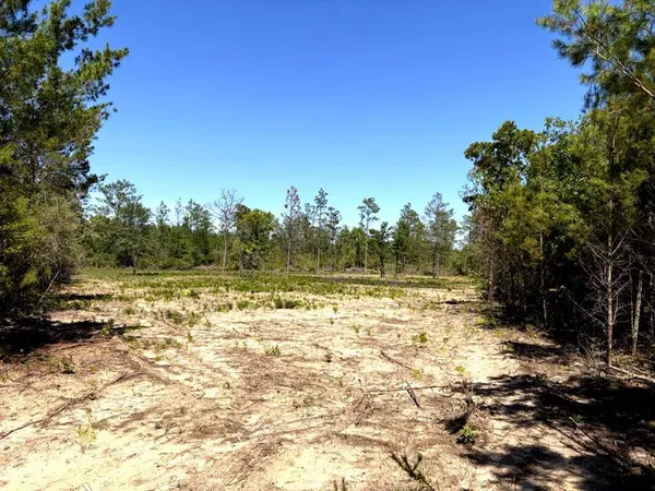 Lot 5 Nw Cr 167, Fountain, FL 32438