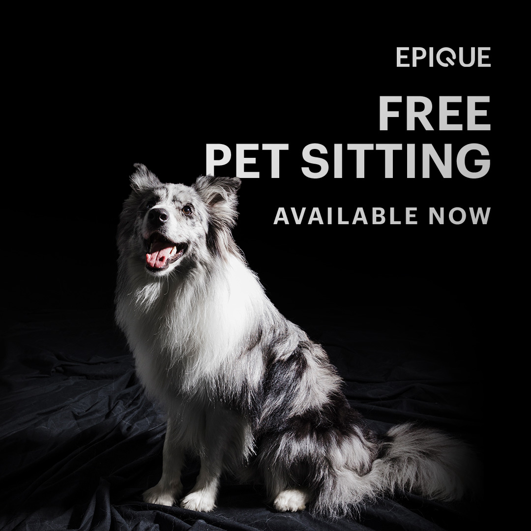 Epique Realty pet sitting