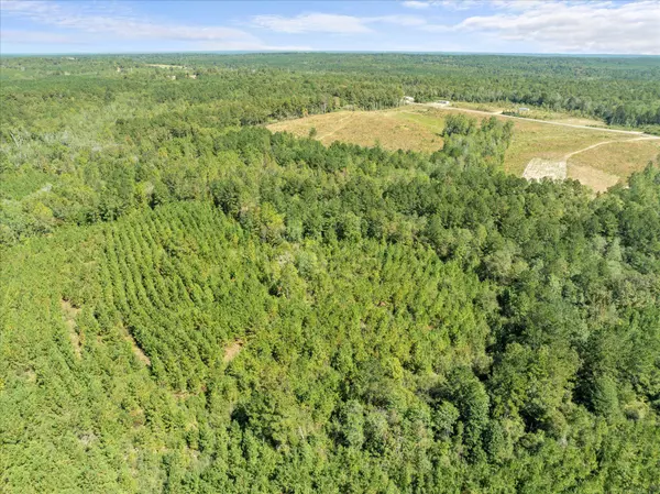 000 Beat 4 Shubuta Rd., Shubuta, MS 39360