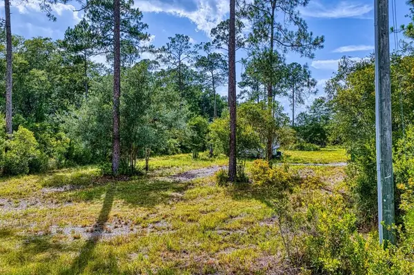 2039 River Bend Plantation Rd, Carrabelle, FL 32322