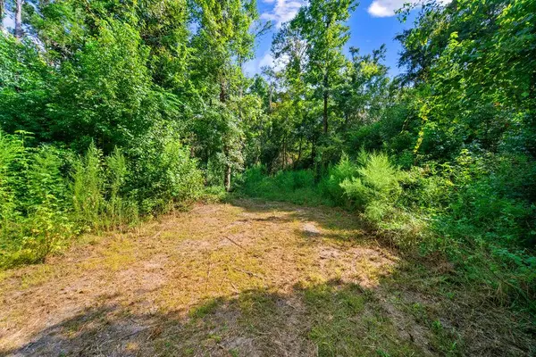 Lot 1 Donaldson Williams Rd, Crawfordville, FL 32327