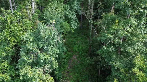 Lot 1 Donaldson Williams Rd, Crawfordville, FL 32327